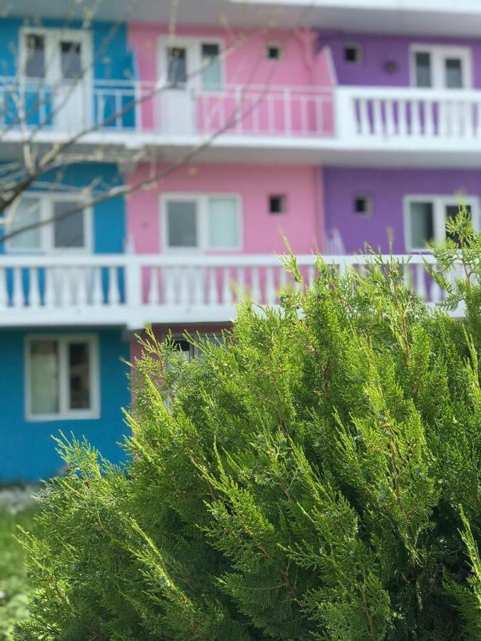 Casa Barbie Costinesti Hostel Εξωτερικό φωτογραφία